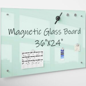 Magnetic Glass